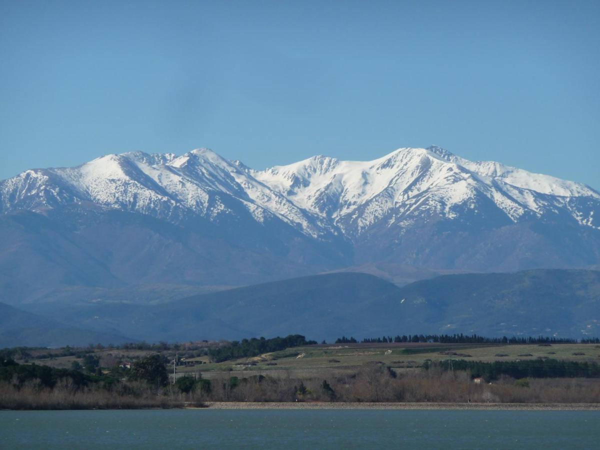 Très bel appartement  Perpignan Buitenkant foto